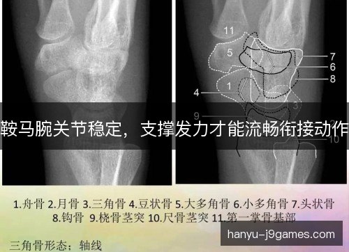 鞍马腕关节稳定，支撑发力才能流畅衔接动作